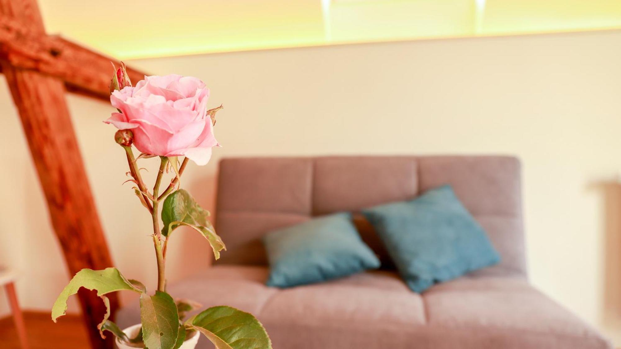 Biobauer Heubach Apartment Iphofen Ngoại thất bức ảnh